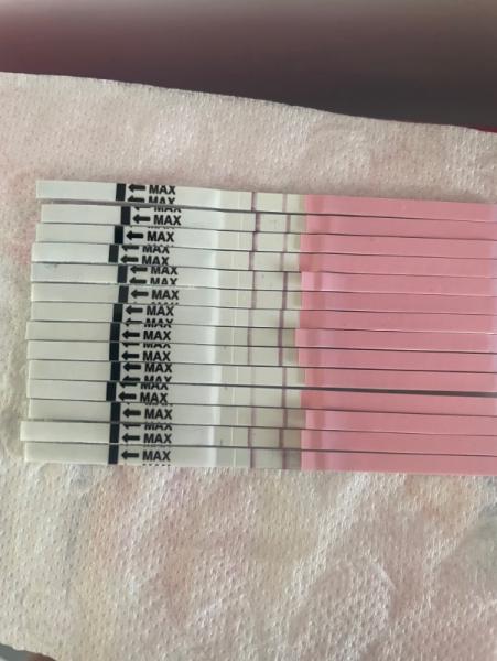 Bild zu Ovu test - Kinderwunsch - was tun, um schwanger zu werden?