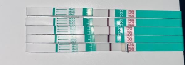 Bild zu Z1 Pharma macht mich wahnsinnig - Kinderwunsch - was tun, um schwanger zu werden?