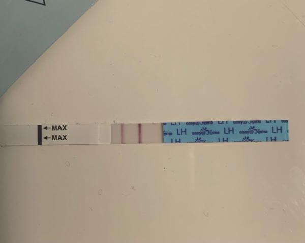Bild zu Ovu Test - easy@home vs Clear Blue - Kinderwunsch - was tun, um schwanger zu werden?