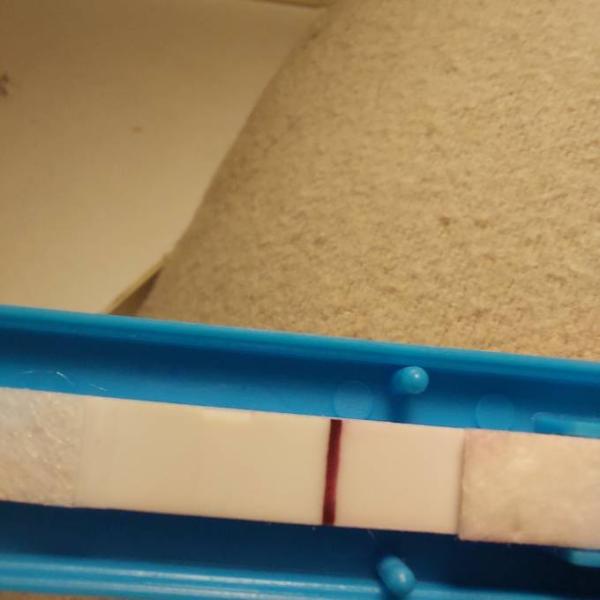 Bild zu Facelle stick vl? - Kinderwunsch - was tun, um schwanger zu werden?
