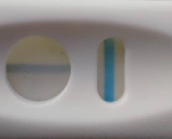 Bild zu Pregnafix plus - Kinderwunsch - was tun, um schwanger zu werden?