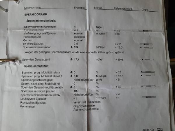 Bild zu 