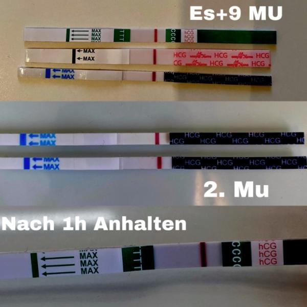 Bild zu Positiv? - Kinderwunsch - was tun, um schwanger zu werden?