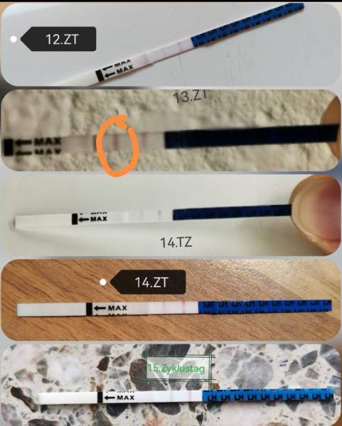 Bild zu Ovulationstests - Kinderwunsch - was tun, um schwanger zu werden?