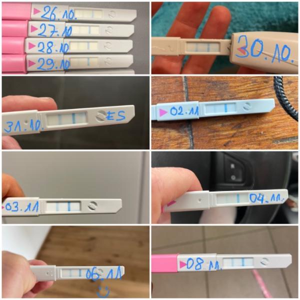 Bild zu Ovulationstest bleibt nach ES positiv - Kinderwunsch - was tun, um schwanger zu werden?
