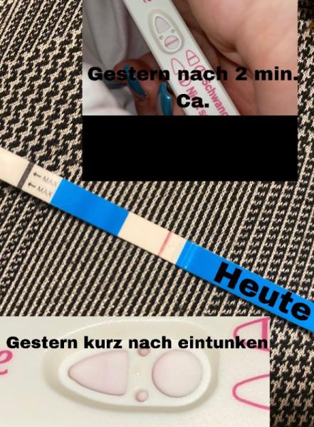 Bild zu Ich verzweifel schwanger oder nicht? - Kinderwunsch - was tun, um schwanger zu werden?