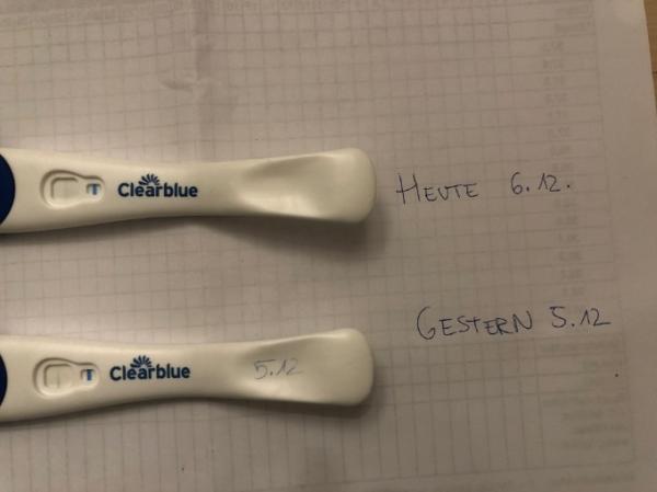 Bild zu Is das eine Linie oder Einbildung - Kinderwunsch - was tun, um schwanger zu werden?