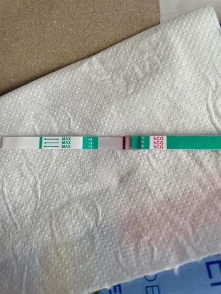 Bild zu Pharma z1 sst - Kinderwunsch - was tun, um schwanger zu werden?