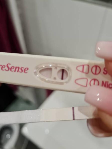 Bild zu Schwanger ?! - Kinderwunsch - was tun, um schwanger zu werden?