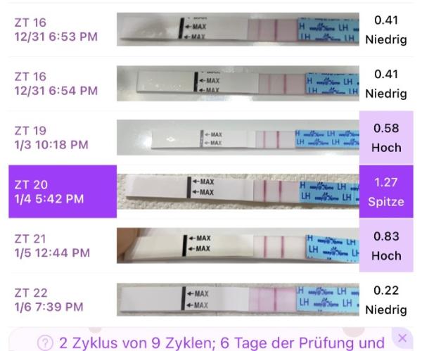 Bild zu Kinderwunsch / OVU test - Kinderwunsch - was tun, um schwanger zu werden?