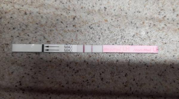 Bild zu 4 Tage nach mens ovulationstest fett positiv - Kinderwunsch - was tun, um schwanger zu werden?