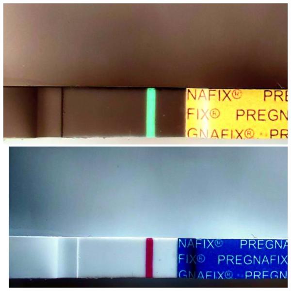 Bild zu Pregnafix streifentest vl? - Kinderwunsch - was tun, um schwanger zu werden?