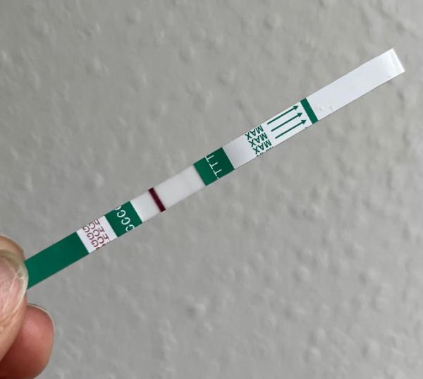 Bild zu Wird die Linie dunkler? - Kinderwunsch - was tun, um schwanger zu werden?