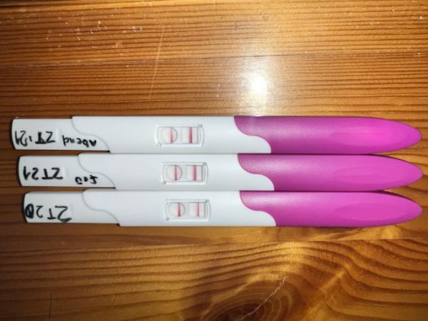 Bild zu Ovulation Test - Testamed - Kinderwunsch - was tun, um schwanger zu werden?