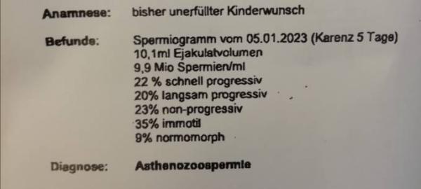 Bild zu Ergebnis Spermiogramm - Kinderwunsch - was tun, um schwanger zu werden?