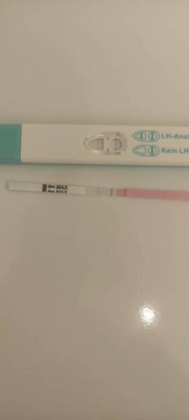 Bild zu Mein Ovulationstest ist negativ, oder?:*( - Kinderwunsch - was tun, um schwanger zu werden?