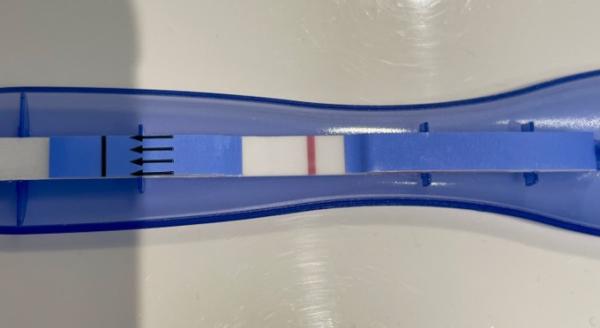 Bild zu Update test - Kinderwunsch - was tun, um schwanger zu werden?