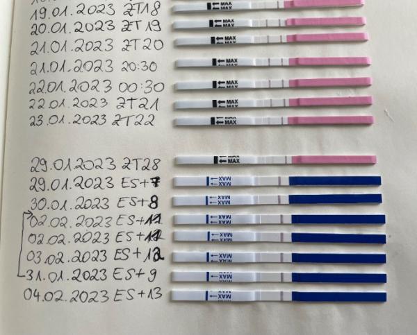 Bild zu Hilfeee - Verwirrung bei den Tests (OvuT und SST)? - Kinderwunsch - was tun, um schwanger zu werden?