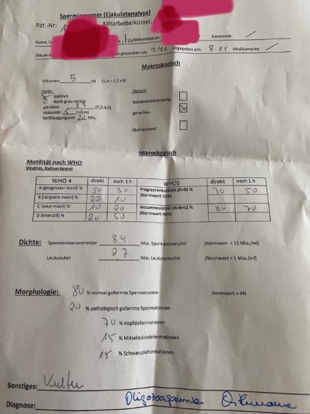 Bild zu Spermiogramm, Kinderwunsch - Kinderwunsch - was tun, um schwanger zu werden?