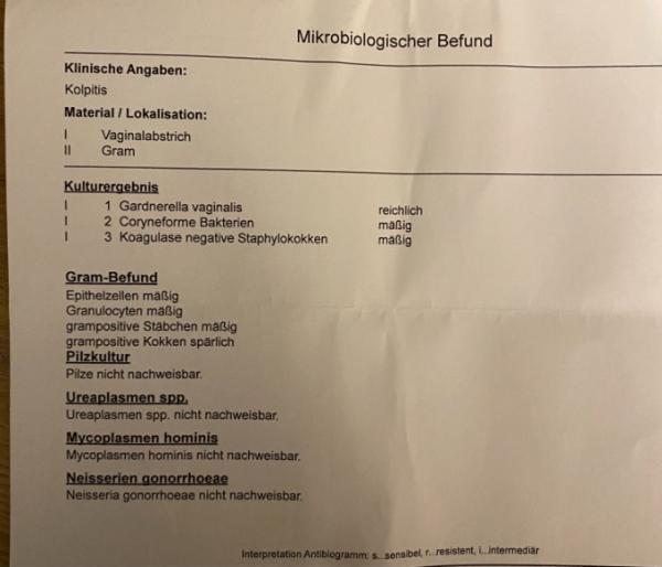 Bild zu Mikrobiologischer Befubd - Gardnerella vaginalis - Kinderwunsch - was tun, um schwanger zu werden?