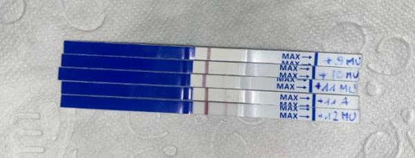 Bild zu Ab wann 25er Test verwenden? - Kinderwunsch - was tun, um schwanger zu werden?
