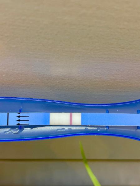 Bild zu Test nach blutung - Kinderwunsch - was tun, um schwanger zu werden?