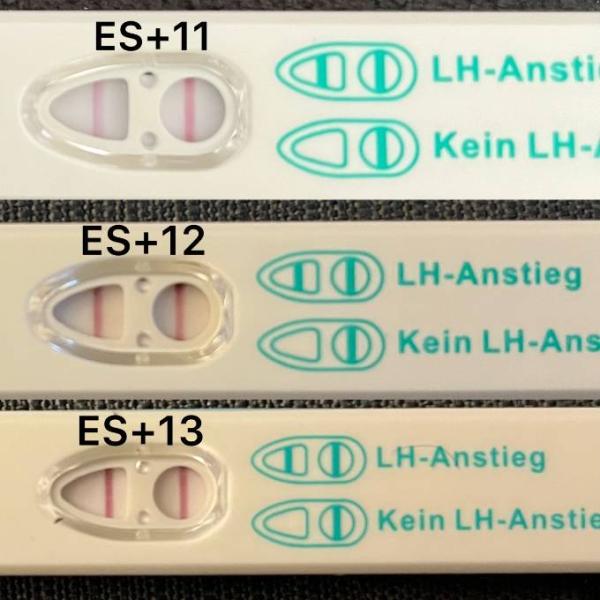 Bild zu Erster Kinderwunsch - Orakeln mit Ovus - Eure Meinung? - Kinderwunsch - was tun, um schwanger zu werden?