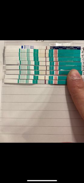 Bild zu Erster Kryotransfer Blastozyste tag 5 - Kinderwunsch - was tun, um schwanger zu werden?