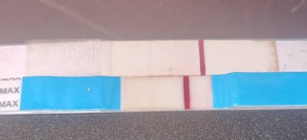 Bild zu Facelle Frühtest Stick und Streifen - Kinderwunsch - was tun, um schwanger zu werden?