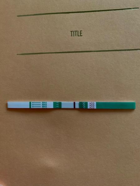 Bild zu SSW-Test schatten erkennbar? - Kinderwunsch - was tun, um schwanger zu werden?