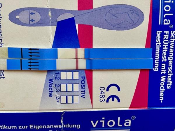 Bild zu Update es12 - Kinderwunsch - was tun, um schwanger zu werden?