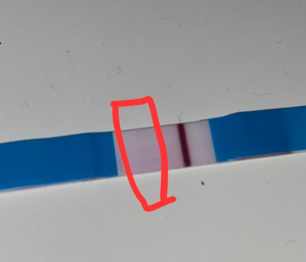 Bild zu Test erst leichter zweiter Streifen nun weg? - Kinderwunsch - was tun, um schwanger zu werden?