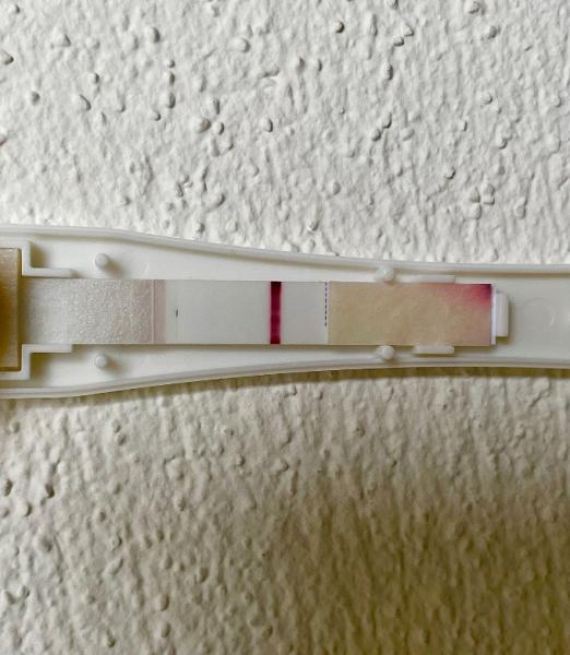 Bild zu Leichter hauch - Kinderwunsch - was tun, um schwanger zu werden?