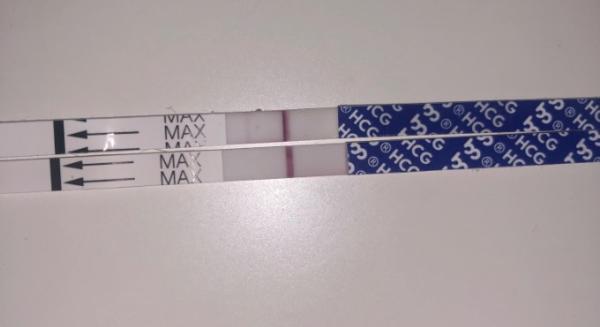 Bild zu Ssw Test positiv dann Negativ - Kinderwunsch - was tun, um schwanger zu werden?