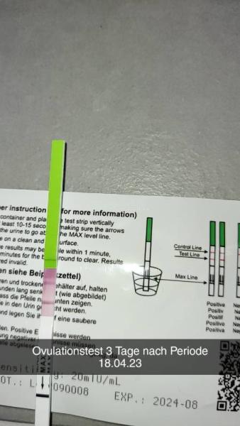 Bild zu 3 Tage nach Periode Ovu positiv?? - Kinderwunsch - was tun, um schwanger zu werden?