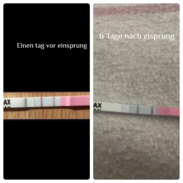 Bild zu 6 Tage nach Eisprung wieder positiver ovu - Kinderwunsch - was tun, um schwanger zu werden?