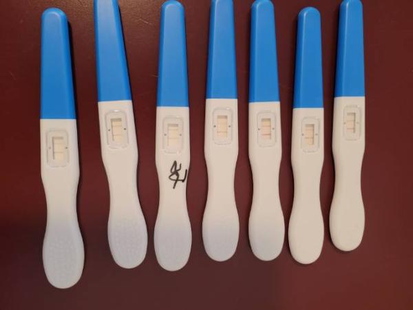 Bild zu Sind die Tests positiv oder negativ 🙈 - Kinderwunsch - was tun, um schwanger zu werden?