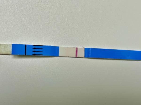 Bild zu Test stockt - Kinderwunsch - was tun, um schwanger zu werden?