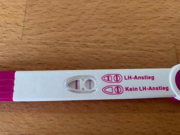 Bild zu ZT 21 Ovulationstest postiv - Kinderwunsch - was tun, um schwanger zu werden?