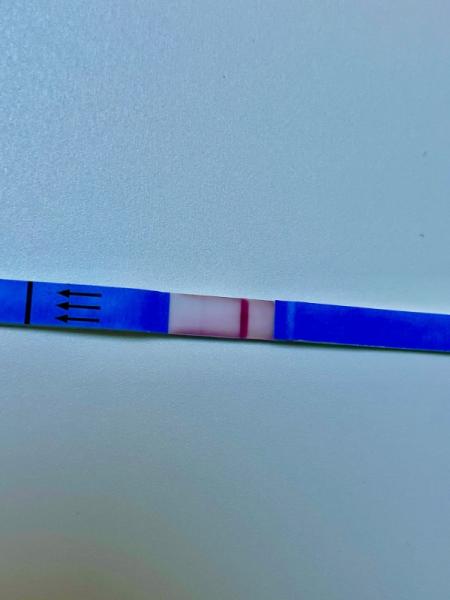 Bild zu Eindeutig positiv - Kinderwunsch - was tun, um schwanger zu werden?