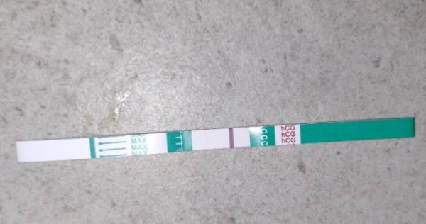 Bild zu Ca es+12, gestern bisschen blut - Kinderwunsch - was tun, um schwanger zu werden?