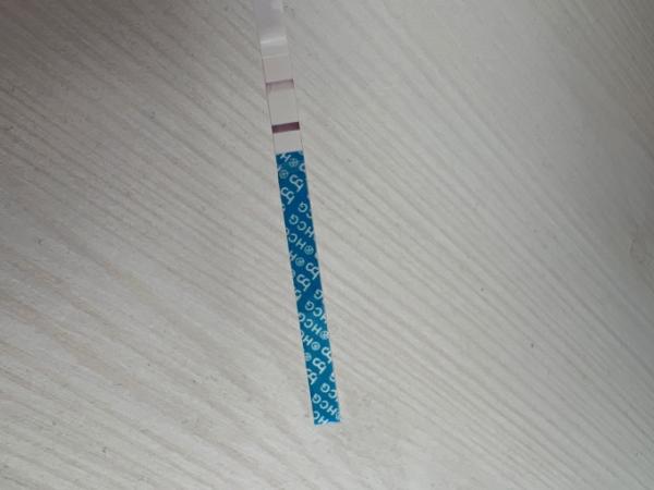 Bild zu TF+12 Test positiv - Kinderwunsch - was tun, um schwanger zu werden?