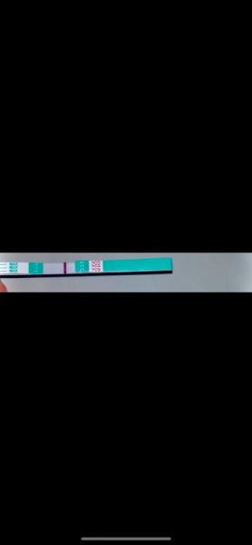 Bild zu Unsicherheit zwecks ssw Test - Kinderwunsch - was tun, um schwanger zu werden?
