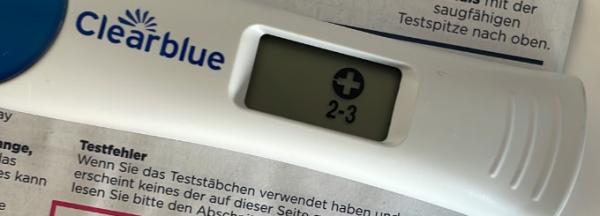 Bild zu 