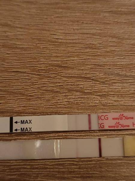 Bild zu Update zu den letzten Tests - Kinderwunsch - was tun, um schwanger zu werden?