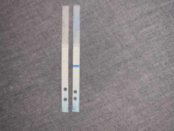 Bild zu KIwU Clearblue digi mit WB auseinander gebastelt - Kinderwunsch - was tun, um schwanger zu werden?