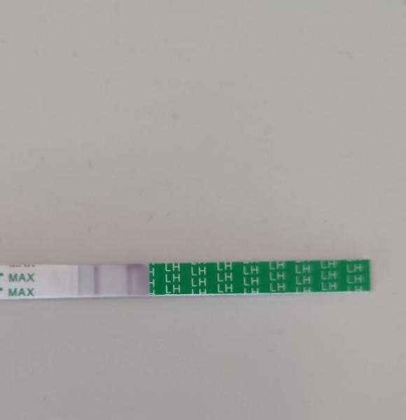 Bild zu Ovulationstest Test - Kinderwunsch - was tun, um schwanger zu werden?