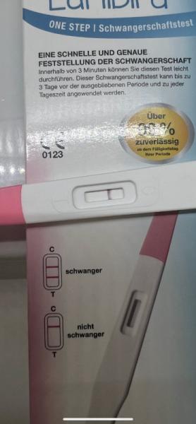 Bild zu Erinnerung - Kinderwunsch - was tun, um schwanger zu werden?