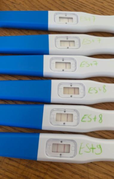 Bild zu SST und Ovulationstest Hilfe… - Kinderwunsch - was tun, um schwanger zu werden?