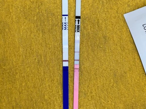 Bild zu Schwanger - Kinderwunsch - was tun, um schwanger zu werden?